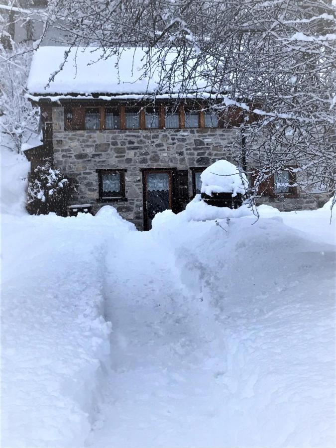 Villa A L'Oree Du Bisse Anzère Exterior foto